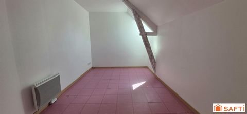 photo no. 11