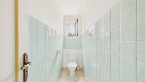 photo no. 9