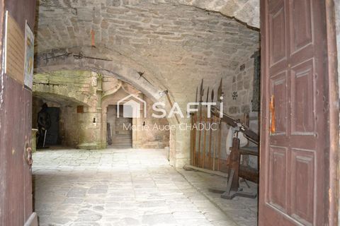 photo no. 11