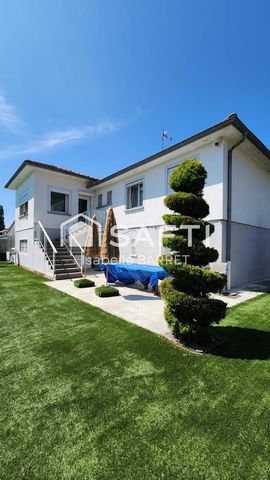 photo no. 11