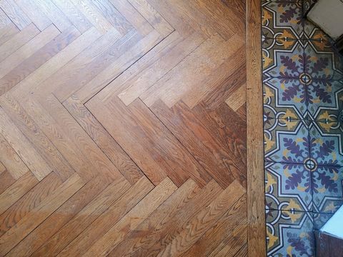 photo no. 19