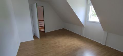 photo no. 6