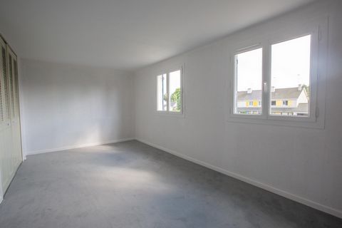 photo no. 8
