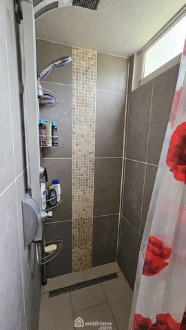photo no. 11