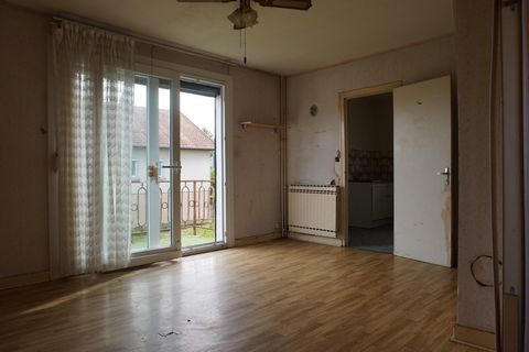 photo no. 6