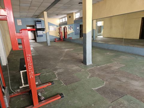 photo no. 13