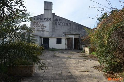 photo no. 4