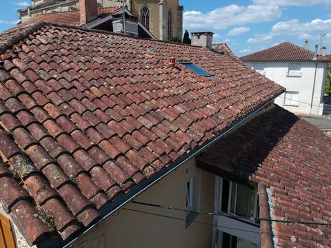 photo no. 19