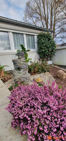 photo no. 11