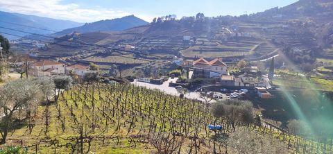 In Mesão Frio, Santo André, immediately at the beginning of The Douro Doors and after the bridge, you can find this beautiful construction plot of 6124 m2 with vineyard inserted in a residential area of beautiful villas in quiet area, unobstructed an...