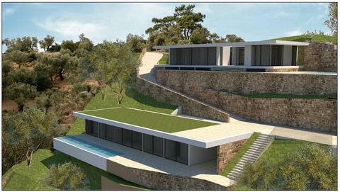 Onvoltooide villa te koop op het eiland Corfu met onbeperkt uitzicht op zee en gemakkelijke toegang omdat het is gelegen aan de hoofdweg die naar het noordelijke deel van het eiland leidt Het is 2500 m². die een oud huis van 250 m² omvat. met een keu...