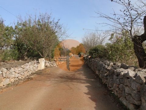 This beautiful land is located in a very quiet area with unobstructed views of the mountains and very green. It is situated in Alto Fica, 10 minutes from Loulé and 8 minutes from Benafim. With a lot of potential for construction and with approved pro...