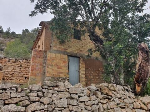 Estate with a very good access House to renovate with ground floor of 80 m2 and first floor also of 80 m2 sunny and quiet Land 120576 m2 with forest and crops of olives It doesnt have electricity Old water well and large cistern next to the house