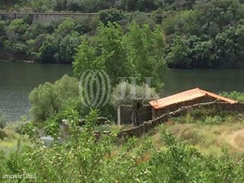 Quinta da Veiga is a sunny, flat and easily accessible property, with an extension of the Douro River bank of about 900 meters. Located on the north bank of the Douro River, about 6 km from the riverside village of Barca d'Alva and about 20 km from V...