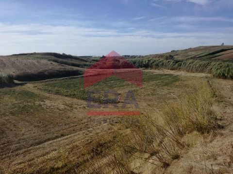 Rustic land of 8.920m2 in Ferrel - Peniche. Excellent location. 3,800 meters from Baleal beach. *The information provided is for information purposes only, not binding, and does not exempt inquiring the mediator. * Energy Rating: Exempt #ref:15023004...