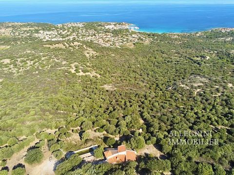 Very beautiful property in a dominant position overlooking the sea. Spread over more than 1.5 hectares in a preserved and green environment, the property includes a building of approximately 270 m2 of living space, a swimming pool (14x4m) with its eq...