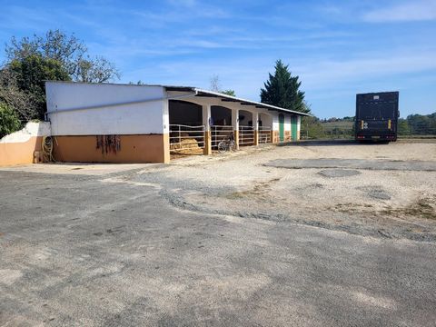 In the heart of Perigord, come and discover this complex made up of an agricultural building, accommodating 4 to 6 stables, as well as a storage workshop all on 9 hectares of fenced land. The whole is located in a remote location on the heights of a ...