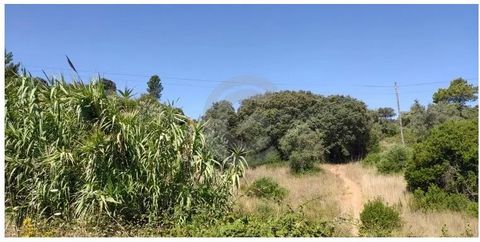Rustic land well located with about 1400 m2 of area, located in Covão, in the village of Louriceira, municipality of Alcanena. Land overlooking the countryside, on the main road of the village of Louriceira Don't miss this fantastic opportunity and b...