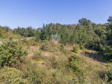 Location: Istarska županija, Žminj, Žminj. Istrien, Žminj, Wir bieten ein attraktives Grundstück in der Nähe von Žminj, in der herrlichen Umgebung Istriens. Diese außergewöhnliche Lage bietet die ideale Kombination aus natürlicher Schönheit und Beque...