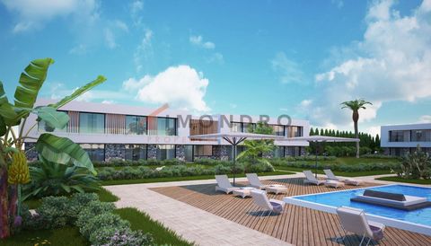 The beach is easily accessible from the apartment and approx. 500 m away. The closest airport is approx. 50 km away. The apartment has a living space of 42 m². This includes a bed-/living room and a bathroom. The bathroom offers a shower. The kitchen...