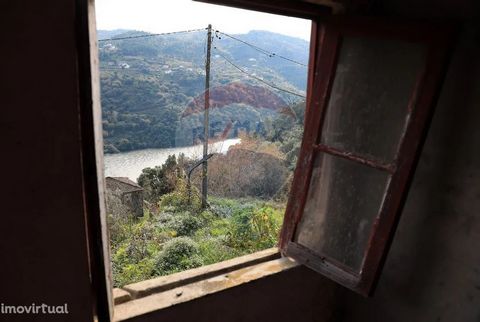 House T3 inserted in a property with 10.285m2 overlooking the river Douro. Own spring water, light on the property. Great sun exposure and good access. Housing reconstruction project approved and license already raised, ready to start the works. It i...