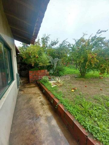 For sale, 2 plots of land with a total area of 562.84m2 One of them with 279.84m2, with a property fully recovered and ready to move in, with only small notes of updating to be made. In the second lot there is a property for recovery. Both with great...