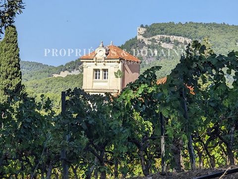 Historic wine estate of the Cassis appellation, 45 ha property, 25 ha AOC Cassis vineyard, 12 ha IGP, 1700 wine château, numerous residential outbuildings around the estate. Profitable exploitation and development project. File on request.