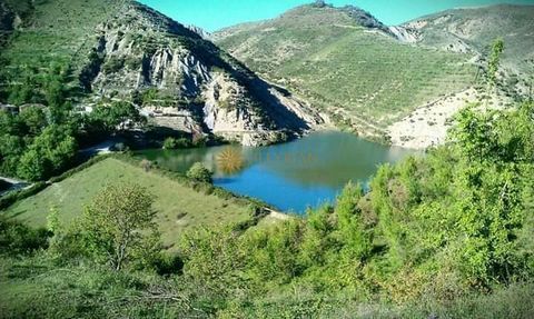 The land is located in Peze Helmes. General information The land is located on the edge of the lake Peze Helmes. Area 9000 m2. Other information Access by road. Regular mortgage documentation. Price 30 euros m2. For more information and visit propert...