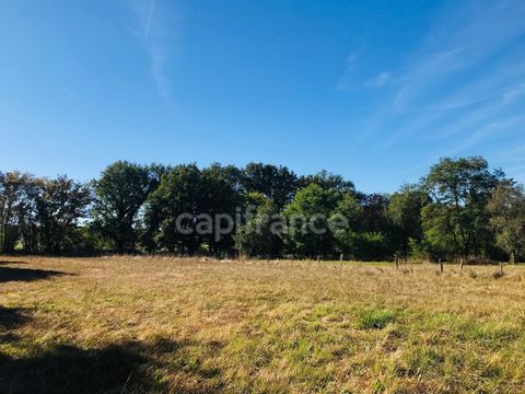 RARE A SAISIR A 10 min de Nevers, Terrain à bâtir non viabilisé sur une surface plane de plus d'un hectare, Dans un cadre nature et arboré, idéal pour implanter votre maison en bois, maison contemporaine ou maison bioclimatique, Plus de photos et inf...