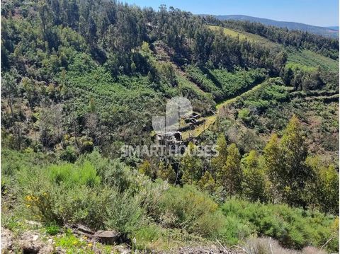 Land met ongeveer 3 hectare (landoppervlak van 29.754,97m2) in Demieiro, met uitzicht op Cerdeira. Spectaculair uitzicht over Coja en de hele vallei van de rivier de Alva. Het pand was een oud landhuis, waarvan er 4 naar behoren geregistreerde ruïnes...