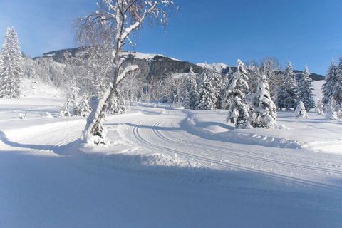 Gospodarstwo ekologiczne zaledwie 400 m od środkowej stacji kolejki Panoramabahn (teren narciarski i turystyczny Resterhöhe/Kitzbühel) z rewelacyjnym widokiem na Wysokie Taury.