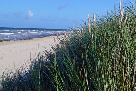 Modern huis met rieten dak, maximaal 6 personen met sauna en open haard, op slechts 400 meter van het strand aan de Baltische Zee, 2 slaapkamers, WiFi beschikbaar, huisdieren op afspraak