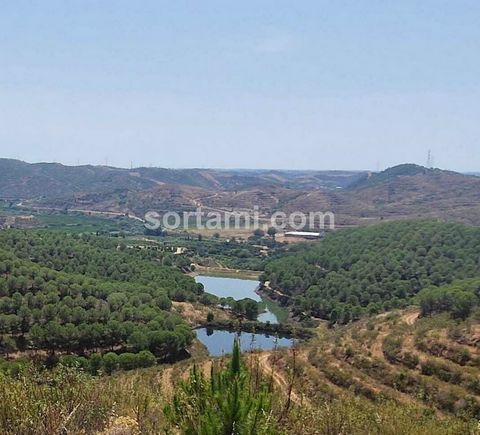 Magnificent agroforestry estate with a tourist potential with an area of ??218 ha, located 20 km from Portimão and 16 km from Silves. The agroforestry farm consists of a citrus area with an extension of 25 ha, in full production and a forestry farm w...