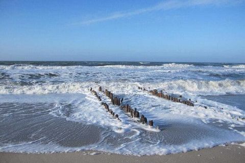 *Vakantieappartement met tuingedeelte en strandstoel, WiFi, aparte slaapkamer, parkeerplaats, fietsenstalling, afsluitbare fietsenstalling (op aanvraag)*