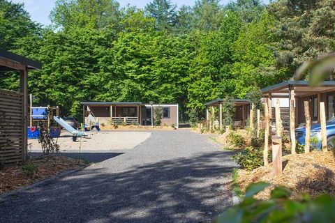 Beleef een perfect gezinsuitstapje in de smaakvol ingerichte Family Cottages op Allurepark De Thijmse Berg. Deze moderne cottages zijn ontworpen met jouw comfort in gedachten en bieden een ruim en uitnodigend toevluchtsoord voor maximaal zes gasten. ...