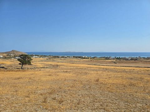 Plot of 10,000 sq.m. in Tinos with a beautiful panoramic view of the sea. The plot faces a road and allows the construction of a house up to 300 sq.m. In addition, a part of the plot is located in an area that is expected to be included in the city p...