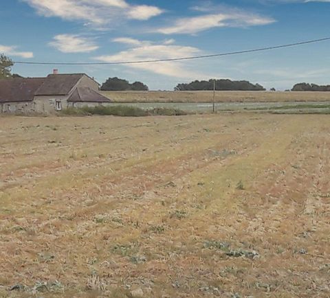 Sur la commune d'Anjouin, Longère au calme à mi-chemin entre Romorantin-Lanthenay et Vierzon, A moins de 10 kms de l'A20, à 10 mn de Graçay . Sur une superficie de 130m2 et sur un terrain de 1362m2 à aménager. Vous êtes créatifs et bricoleurs, je vou...