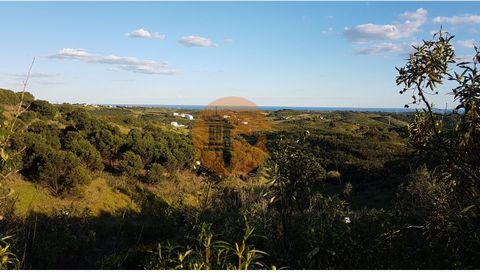 Terreno Misto com 71.000 m2, em Champana - Corte António Martins - Tavira - Algarve. Há um lago no terreno. Terreno com vista mar e vista da serra algarvia. Possui uma ruina. E tem poço. Possibilidade de construir a casa do agricultor até 500 m2. Pos...