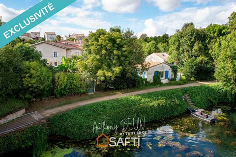 Très belle propriété en pierre apparente située à Niort dans le quartier prisé de Saint-Liguaire, offrant un accès direct au Marais-Poitevin et à la Sèvres. Vous pouvez vous rendre à Port Bionot en vélo en longeant la Sèvres ! Entourée de commodités ...