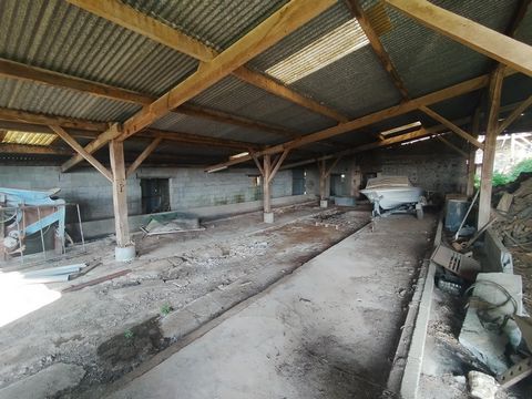 photo no. 3