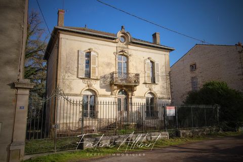 Magnifique Maison Bourgeoise à Sennecey-le-grand