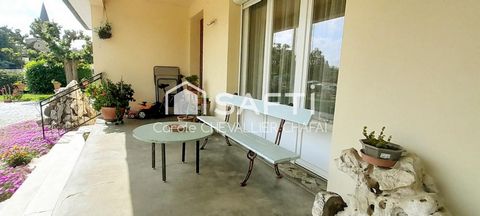 photo no. 11