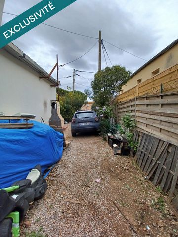 photo no. 10
