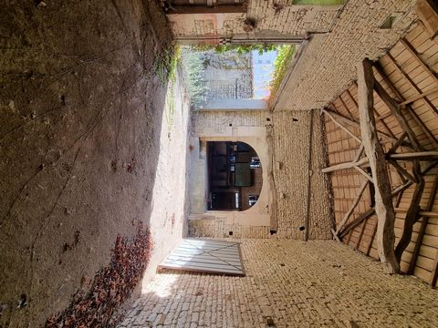 photo no. 11