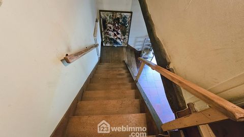 photo no. 12