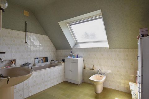 photo no. 11