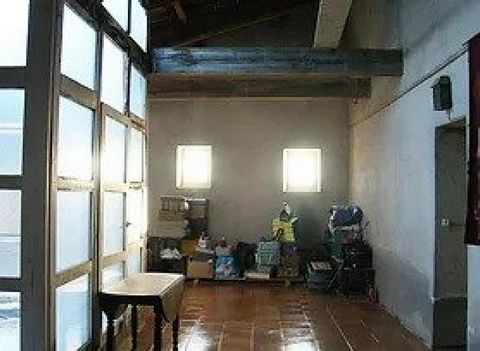 photo no. 6