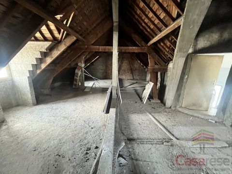 photo no. 14