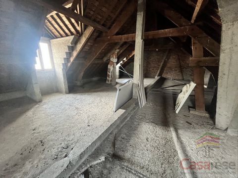 photo no. 16