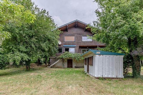 photo no. 2